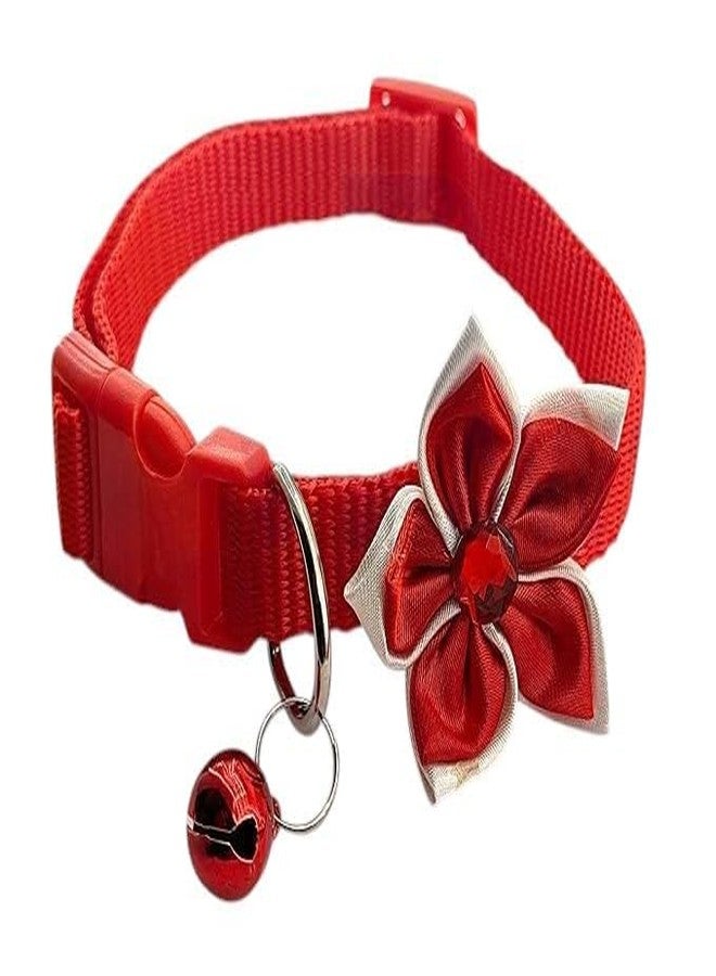 KittuPet Pack of 2 pcs Collar Flower Collar for Your Kitten Pupies Dog Size 10 MM Random Color - Image 1